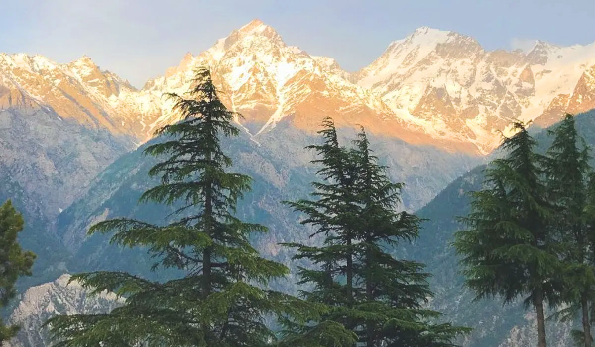 Sparsh Himalaya