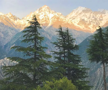 Sparsh Himalaya
