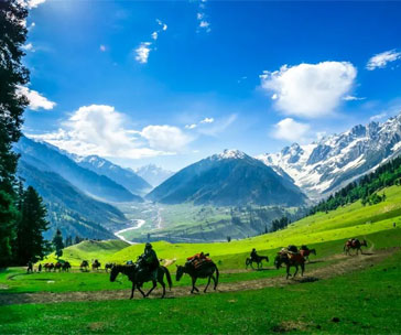 Sparsh Himalaya