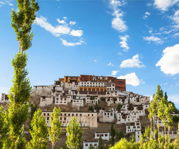 Sparsh Himalaya
